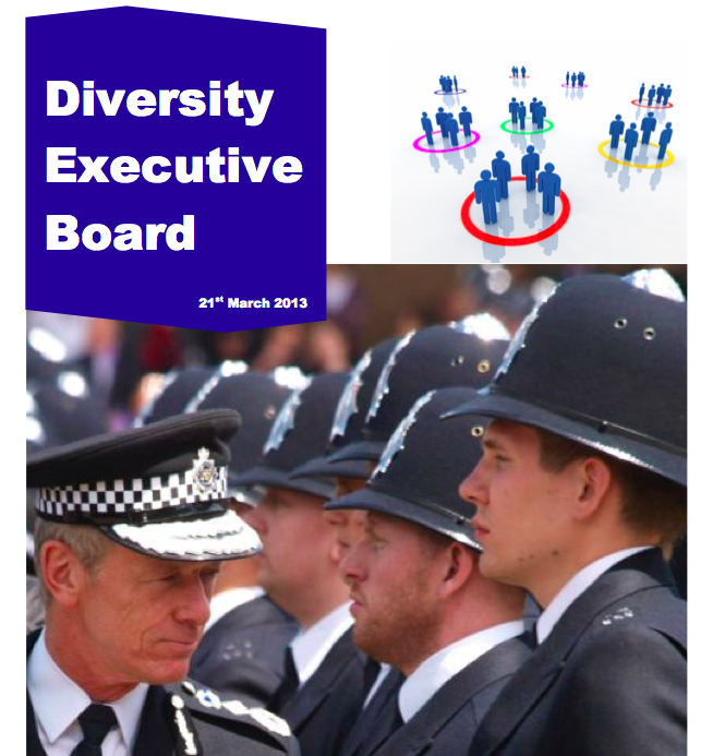 Met Diversity Executive